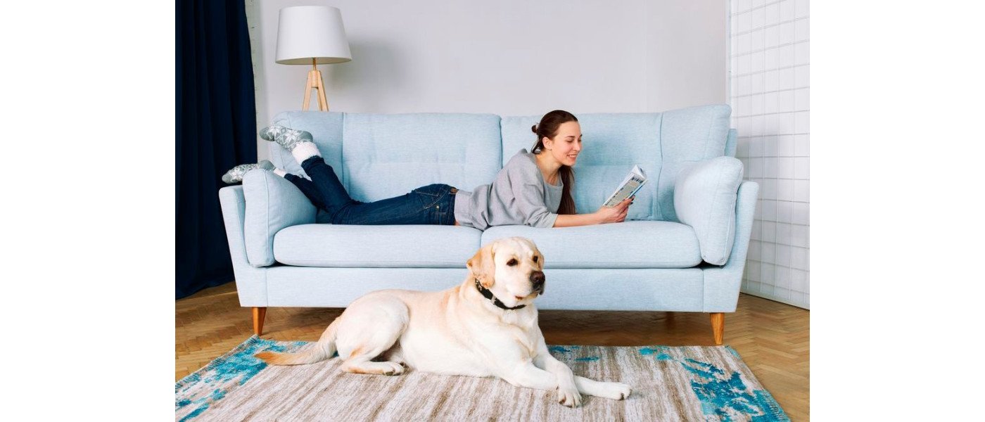 Як підтримувати м'які меблі в ідеальному стані: лайфхаки для кожної родини img №1