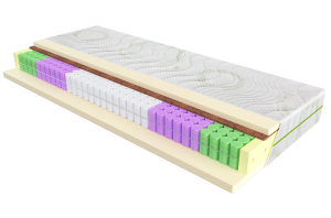 Evolution Fusion Duo