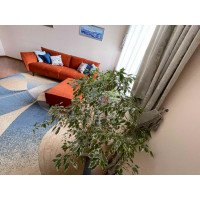 wowin відгуки покупців Люкке Релакс прямий диван 3-місний і пуф  # 1306