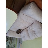 wowin відгуки покупців Ізі кушетка  # 1300